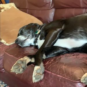 Meet your Posher, Robert